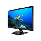 Màn Hình LG LED 20EN33SS - 19.5 inch